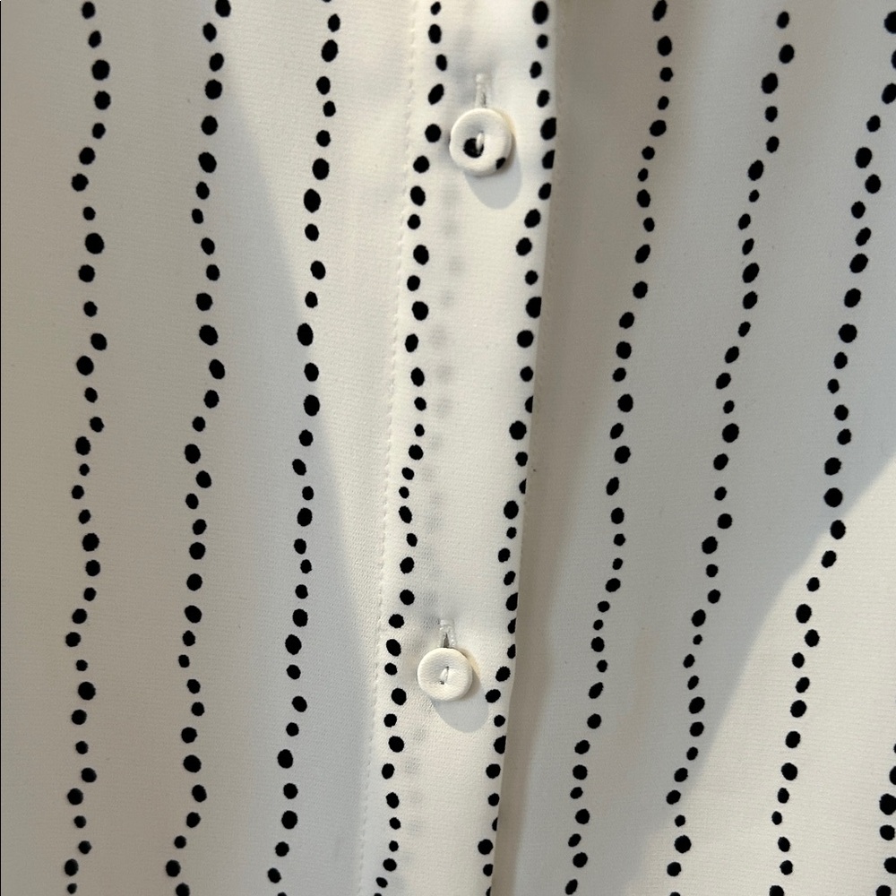 RW&CO. White Button-Up Blouse with Black Dot Stripe - Picture 3 of 5